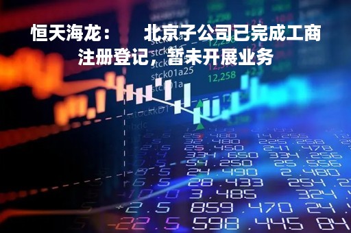 恒天海龙：     北京子公司已完成工商注册登记，暂未开展业务
