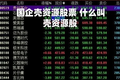 国企壳资源股票 什么叫壳资源股