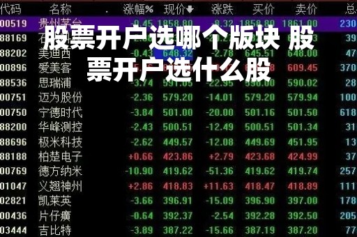 股票开户选哪个版块 股票开户选什么股