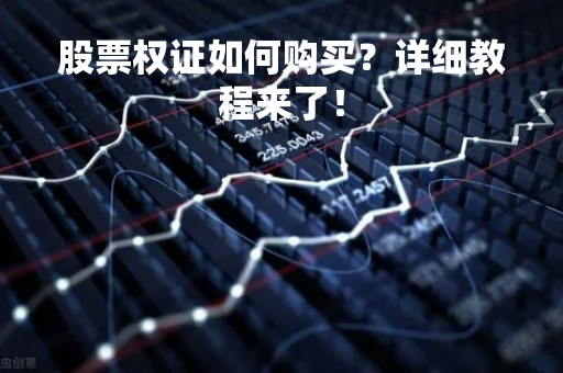 股票权证如何购买？详细教程来了！