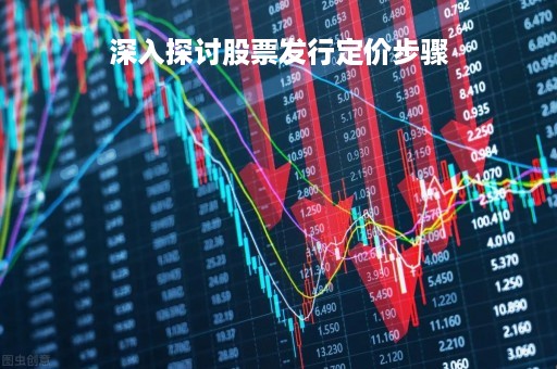 深入探讨股票发行定价步骤