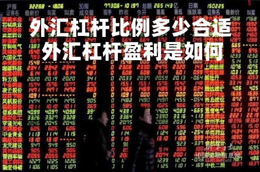 外汇杠杆比例多少合适 外汇杠杆盈利是如何计算的