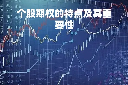 个股期权的特点及其重要性