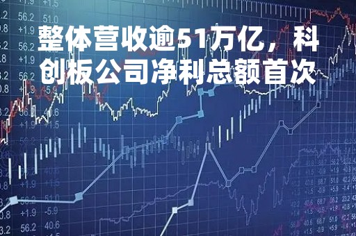 整体营收逾51万亿，科创板公司净利总额首次突破千亿……沪市上市公司年度成绩单来了