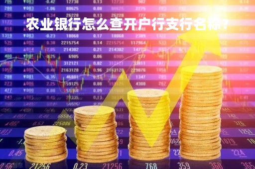 农业银行怎么查开户行支行名称？