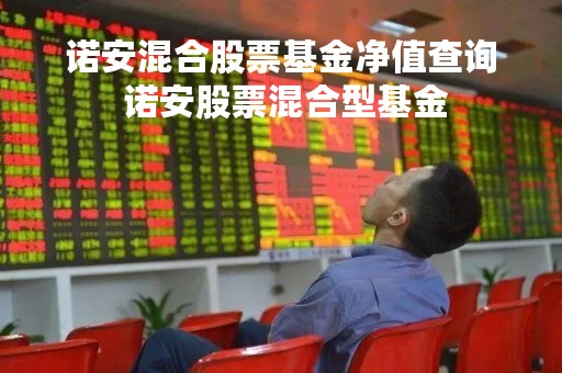 诺安混合股票基金净值查询 诺安股票混合型基金