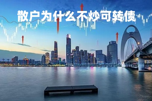 散户为什么不炒可转债