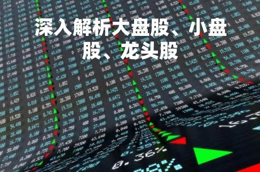深入解析大盘股、小盘股、龙头股