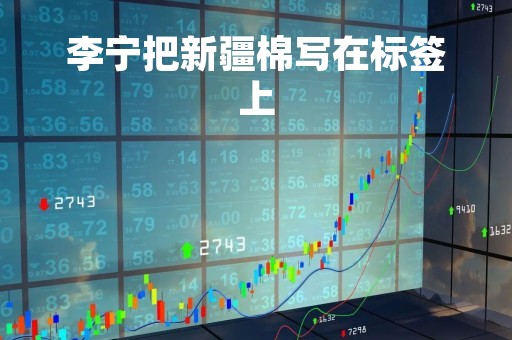 李宁把新疆棉写在标签上
