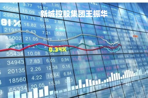 新城控股集团王振华