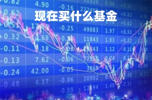 现在买什么基金