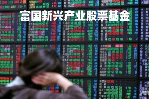 富国新兴产业股票基金