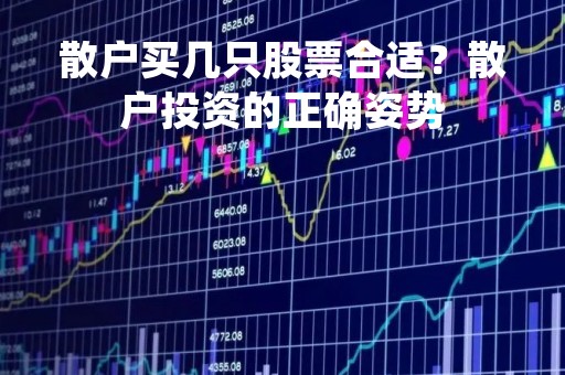 散户买几只股票合适？散户投资的正确姿势