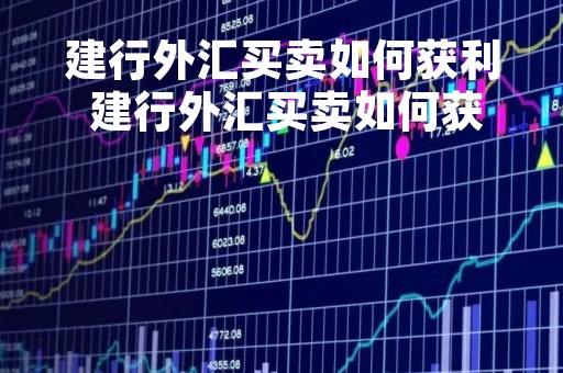 建行外汇买卖如何获利 建行外汇买卖如何获利