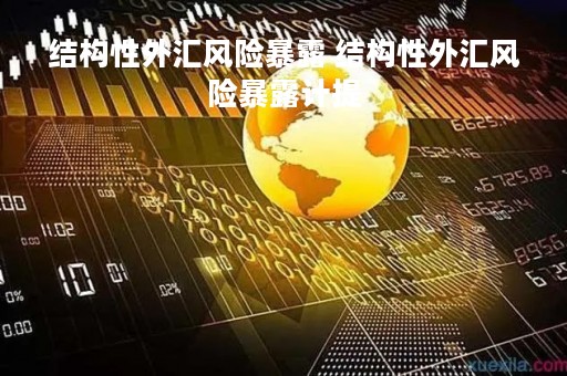 结构性外汇风险暴露 结构性外汇风险暴露计提