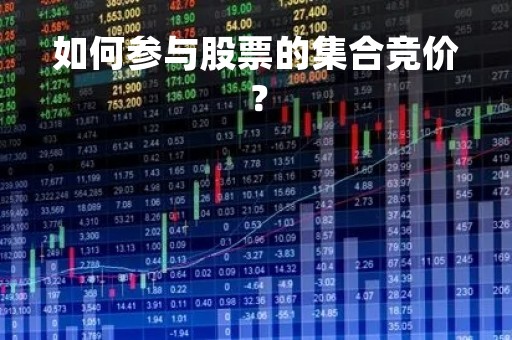 如何参与股票的集合竞价？
