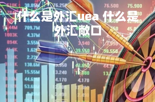 什么是外汇uea 什么是外汇敞口
