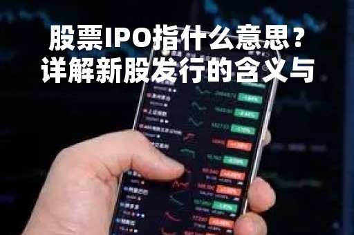 股票IPO指什么意思？详解新股发行的含义与流程