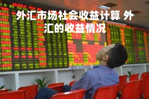 外汇市场社会收益计算 外汇的收益情况