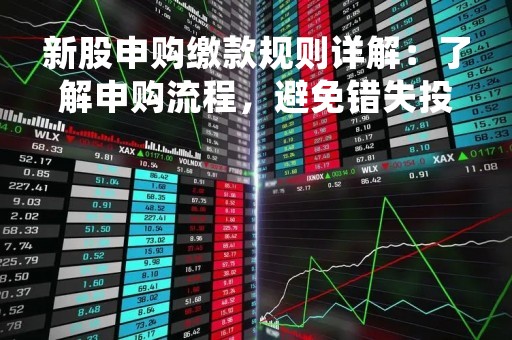 新股申购缴款规则详解：了解申购流程，避免错失投资机会