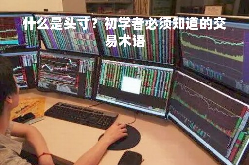 什么是头寸？初学者必须知道的交易术语