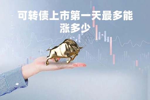 可转债上市第一天最多能涨多少