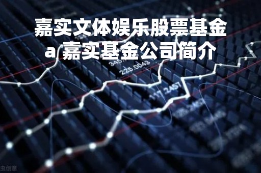 嘉实文体娱乐股票基金a 嘉实基金公司简介