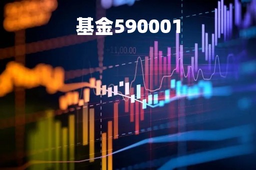 基金590001