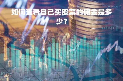 如何查看自己买股票的佣金是多少？