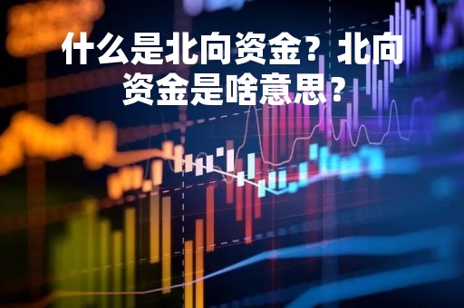 什么是北向资金?北向资金是啥意思? 什么是北向资金?北向资金是啥意思?