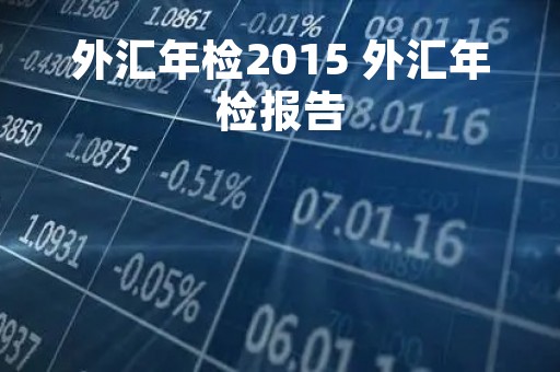 外汇年检2015 外汇年检报告