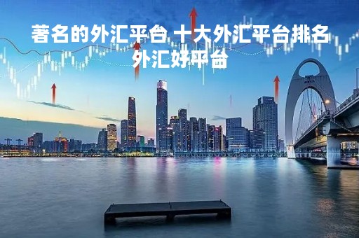 著名的外汇平台 十大外汇平台排名外汇好平台