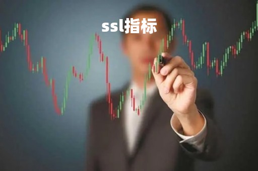 ssl指标