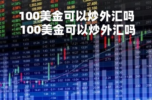 100美金可以炒外汇吗 100美金可以炒外汇吗现在