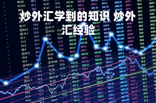 炒外汇学到的知识 炒外汇经验