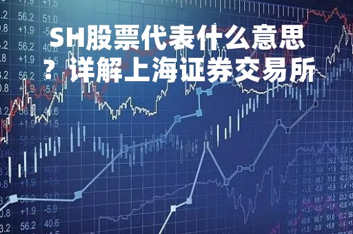SH股票代表什么意思？详解上海证券交易所股票