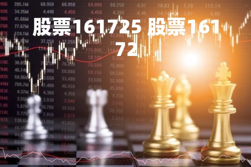 股票161725 股票16172 股票161725 股票16172