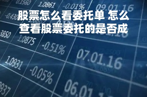 股票怎么看委托单 怎么查看股票委托的是否成交