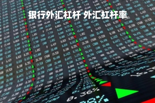 银行外汇杠杆 外汇杠杆率
