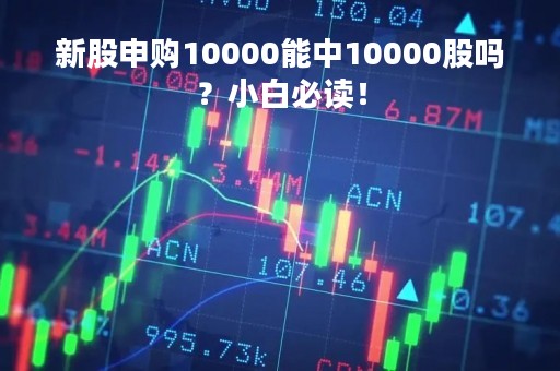 新股申购10000能中10000股吗？小白必读！