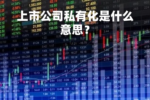 上市公司私有化是什么意思？