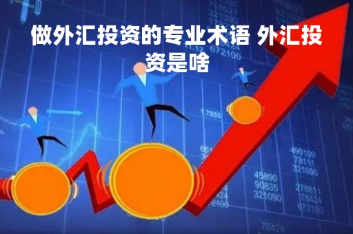 做外汇投资的专业术语 外汇投资是啥
