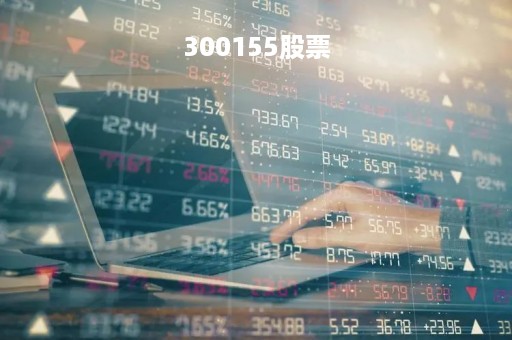 300155股票