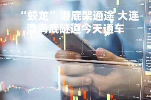 “蛟龙”潜底架通途 大连湾海底隧道今天通车 “蛟龙”潜底架通途 大连湾海底隧道今天通车