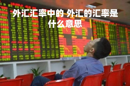 外汇汇率中的 外汇的汇率是什么意思