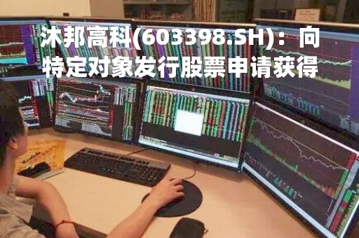 沐邦高科(603398.SH)：向特定对象发行股票申请获得上交所受理