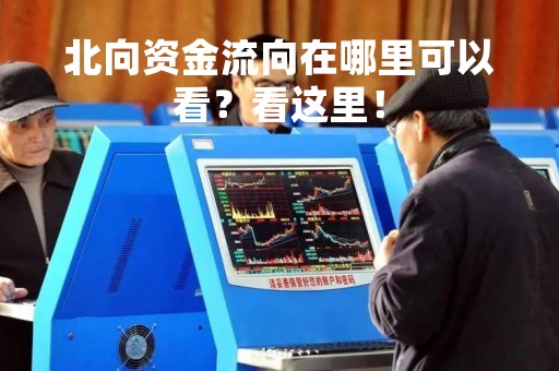 北向资金流向在哪里可以看？看这里！