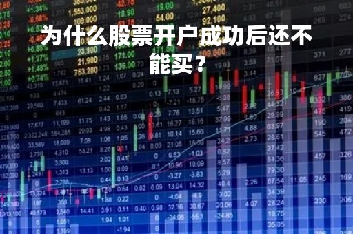 为什么股票开户成功后还不能买？