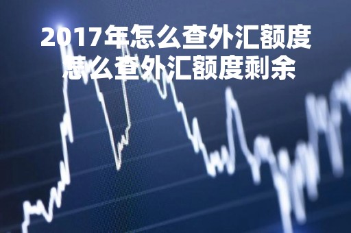 2017年怎么查外汇额度 怎么查外汇额度剩余