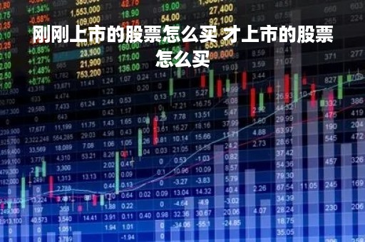 刚刚上市的股票怎么买 才上市的股票怎么买